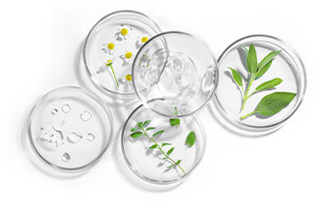 research backed ingredients